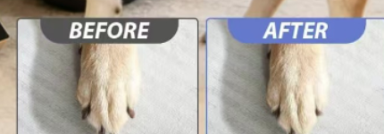 ごきげんとぎ｜犬が自分で、ごきげんに爪を研ぐ｜押さえつけ・深爪ゼロのおやつ箱付き爪とぎボード